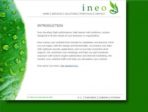 Ineo_Website_2008